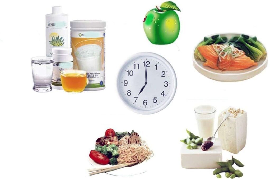 correct nutritional plan to lose weight