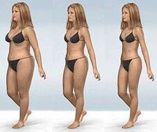 Weight loss phase